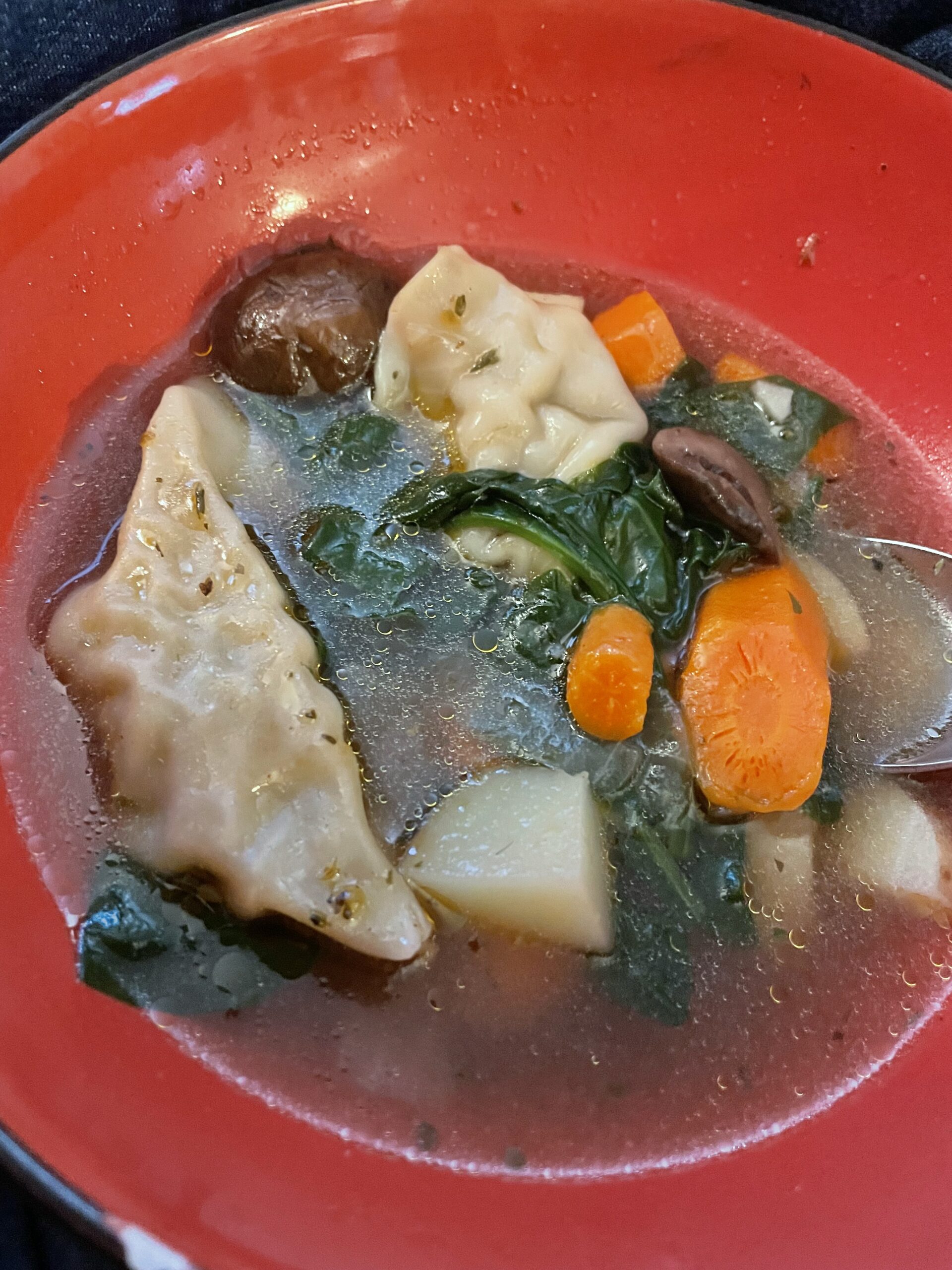 Pork Dumpling Soup